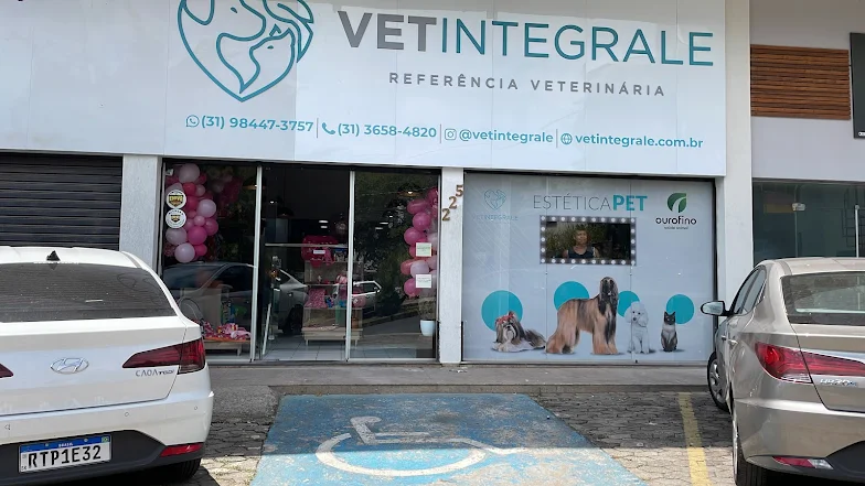 Vetintegrale 