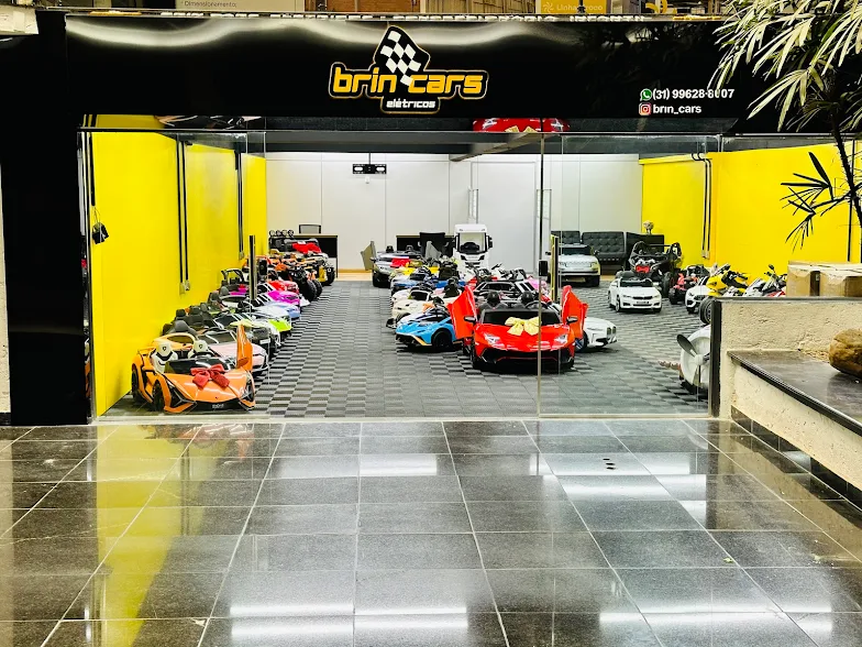 Brin Cars