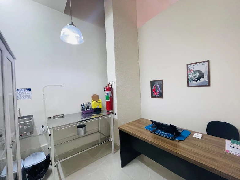 PetSpaces — foto 2