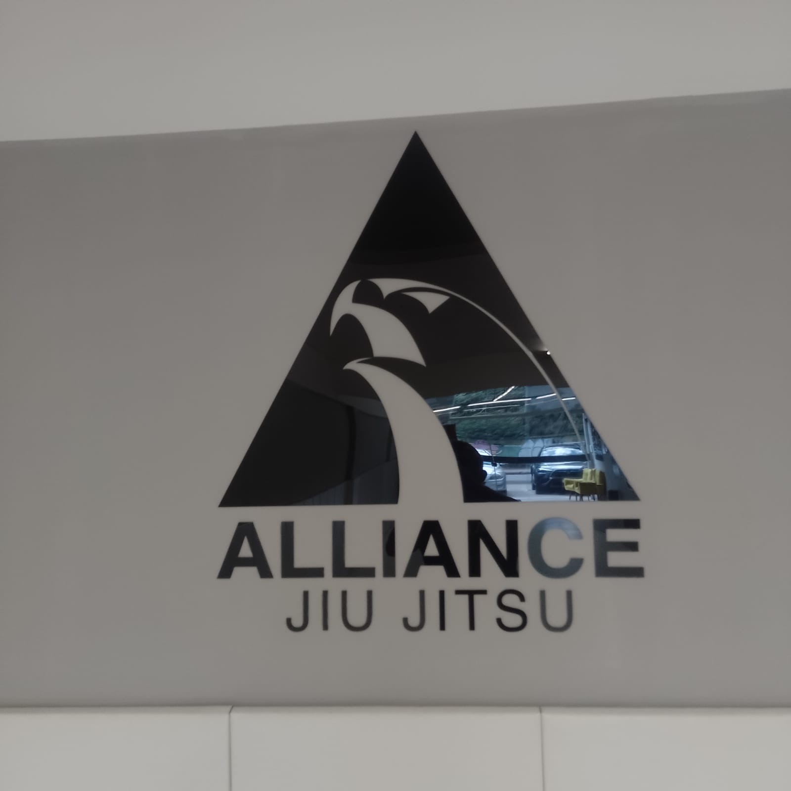 Alliance Jiu Jitsu Buritis