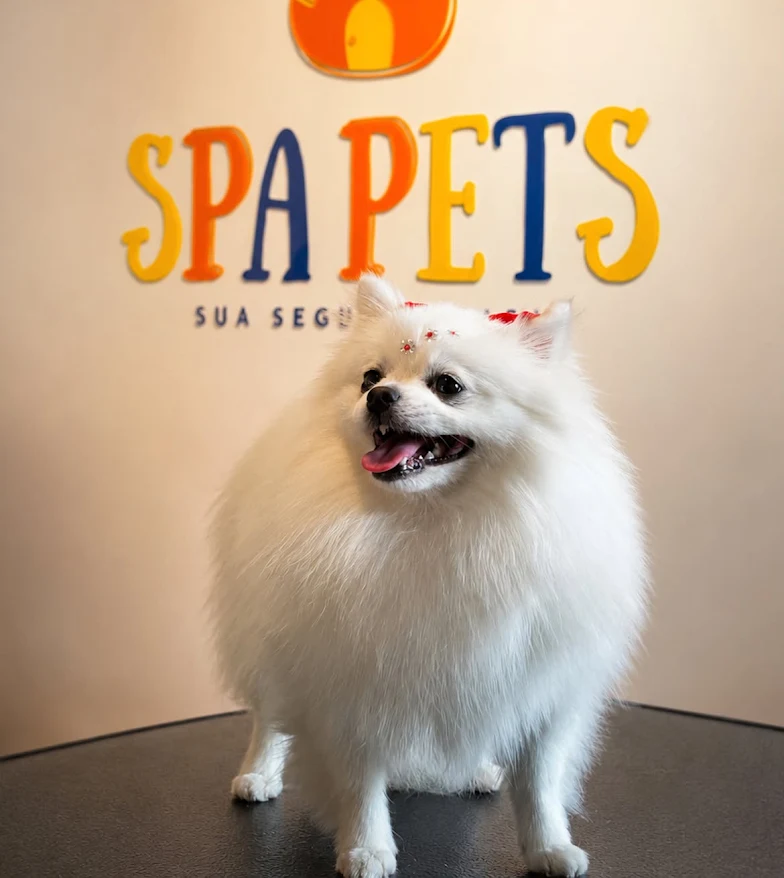 Spa Pets