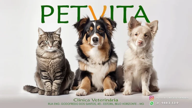 Petvita