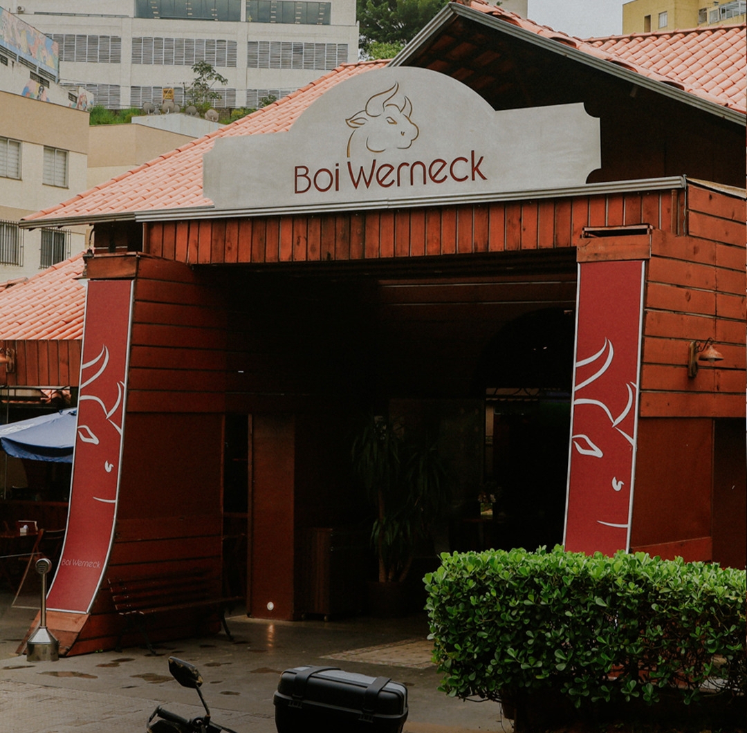 Boi Werneck — foto 2