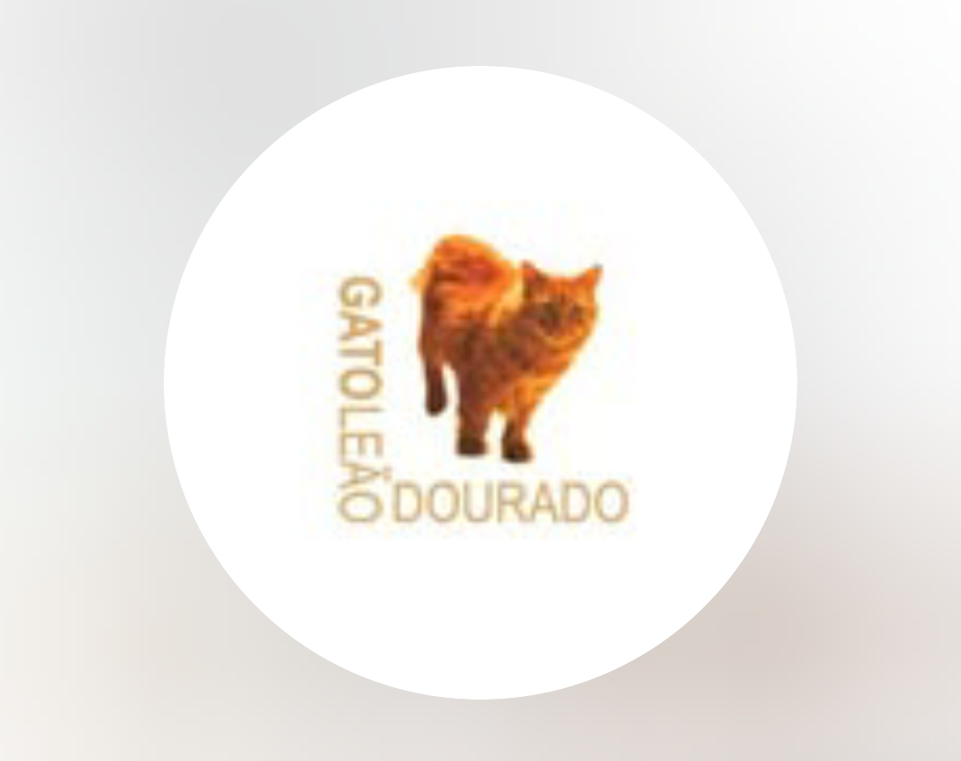 Gato Leão Dourado