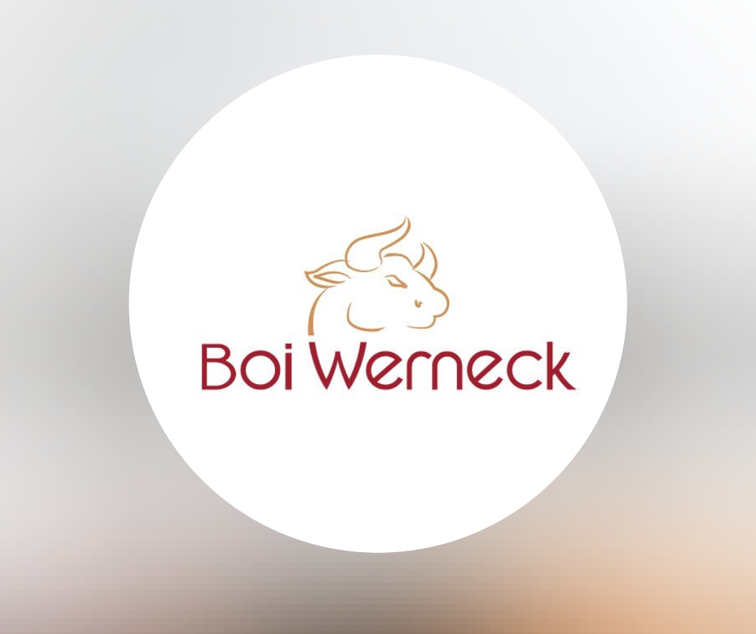 Boi Werneck