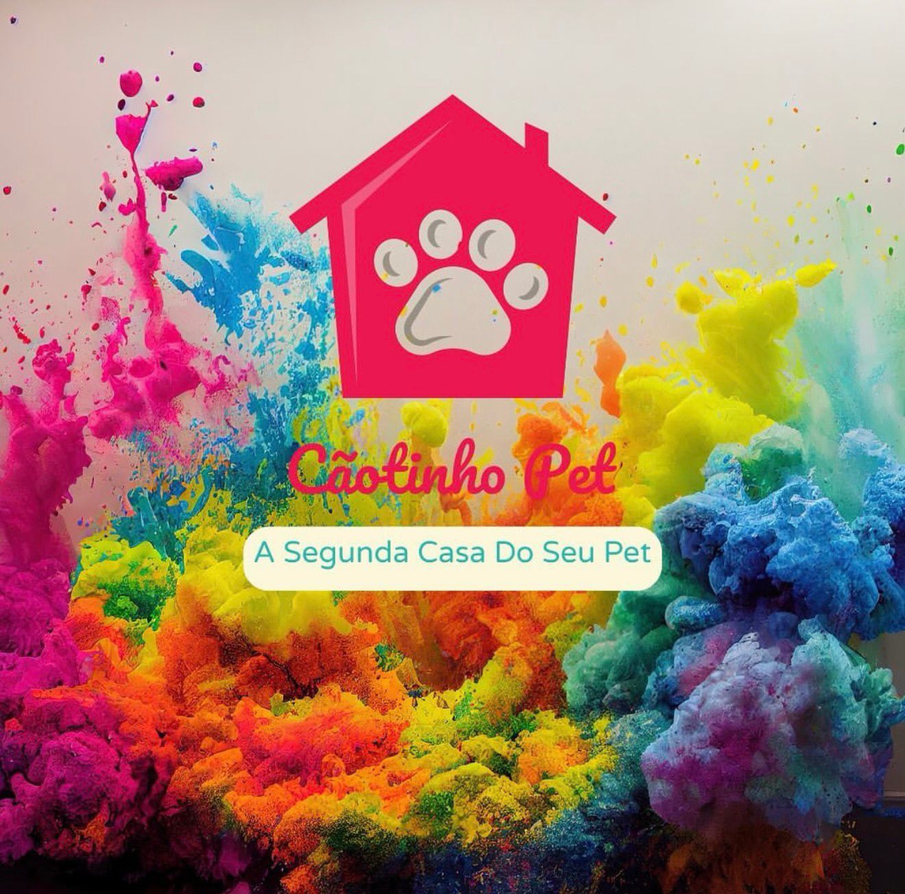 Cãotinho pet